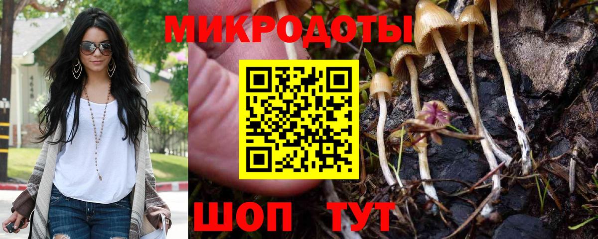 цены наркотик  Псилоцибиновые грибы MAGIC MUSHROOMS  Вход с VPN  Дмитров 